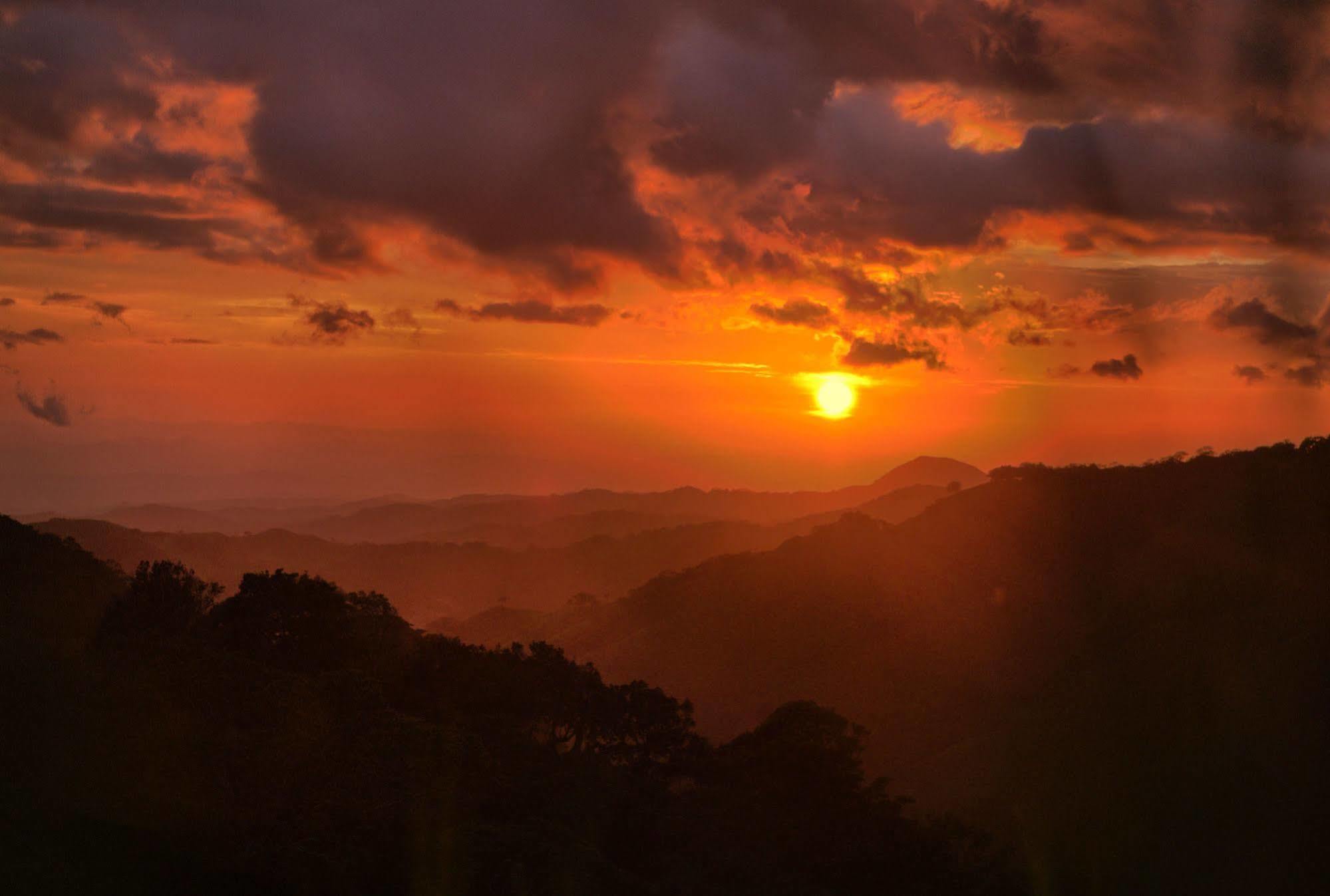 Ficus Lodge Monteverde Екстериор снимка