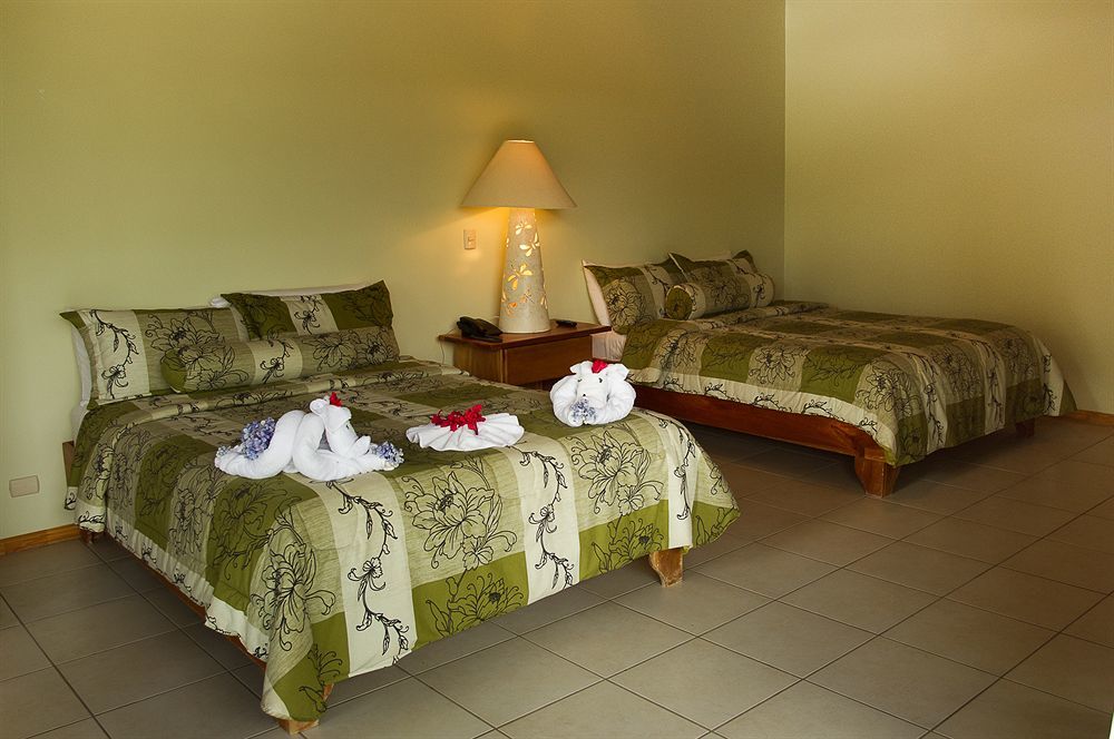 Ficus Lodge Monteverde Екстериор снимка